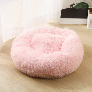 Cozy Calming Bed