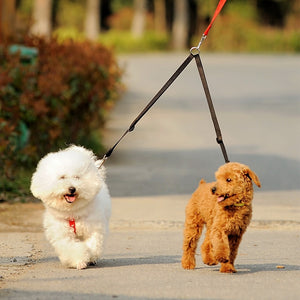 Couple Dog Leash