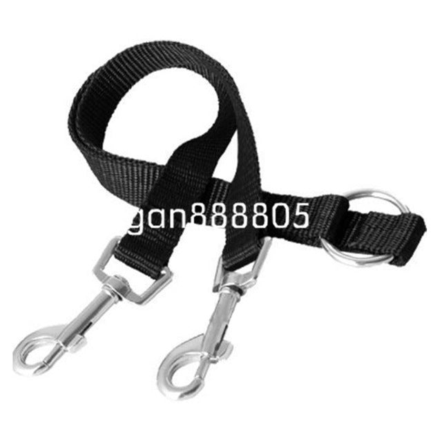 Couple Dog Leash