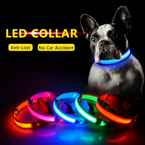 High Visibility Led Dog Collar - Keep your dog safe!