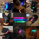High Visibility Led Dog Collar - Keep your dog safe!