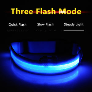 High Visibility Led Dog Collar - Keep your dog safe!