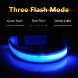 High Visibility Led Dog Collar - Keep your dog safe!