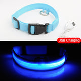 High Visibility Led Dog Collar - Keep your dog safe!