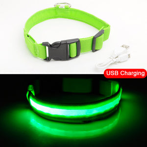 High Visibility Led Dog Collar - Keep your dog safe!