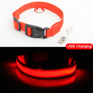 High Visibility Led Dog Collar - Keep your dog safe!