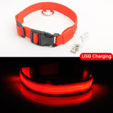 High Visibility Led Dog Collar - Keep your dog safe!