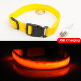 High Visibility Led Dog Collar - Keep your dog safe!