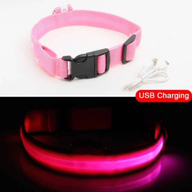 High Visibility Led Dog Collar - Keep your dog safe!