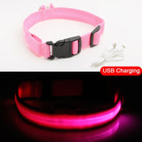 High Visibility Led Dog Collar - Keep your dog safe!