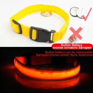 High Visibility Led Dog Collar - Keep your dog safe!
