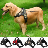 Heavy Duty Dog Collar