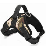 Heavy Duty Dog Collar