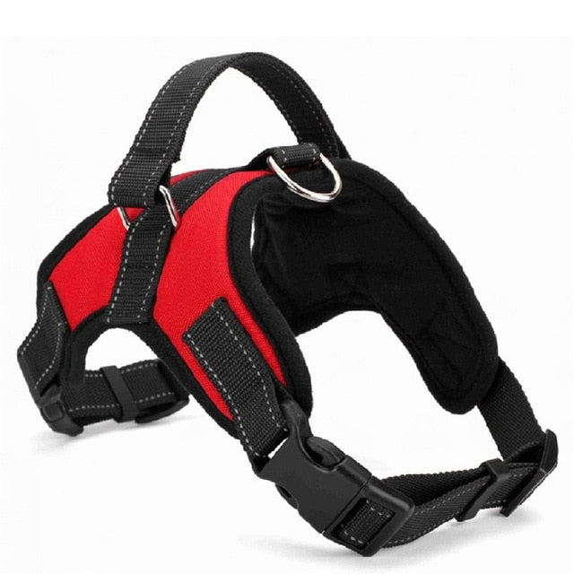 Heavy Duty Dog Collar